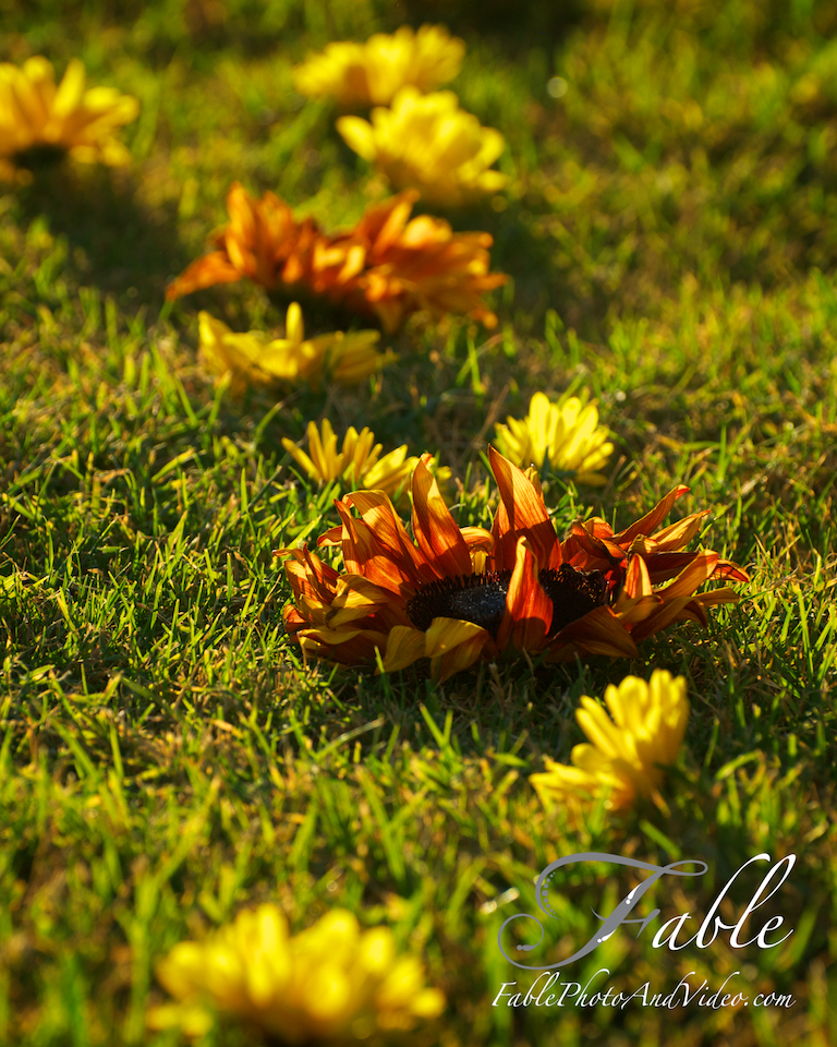 Country Wedding Flowers Phoenix Wedding Photographers